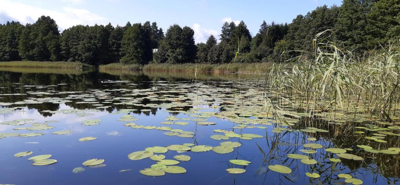 Agroturystyka Nad Czarnym Giby Exterior foto